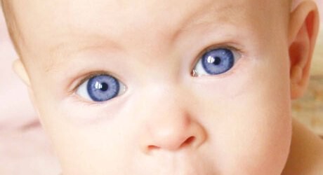 Baby Augenfarbe Baby Augenfarbe