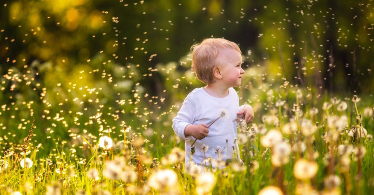 Baby und Insektenbisse