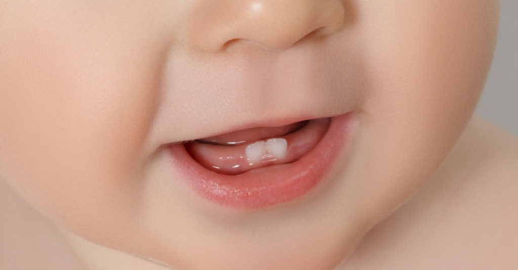 Babys erste Zähne