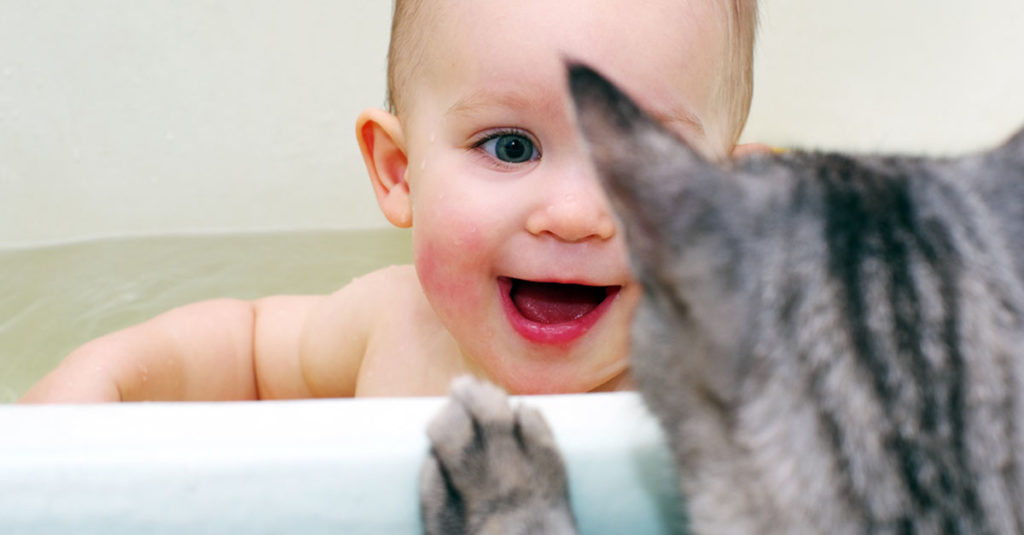 Katzen und Babys