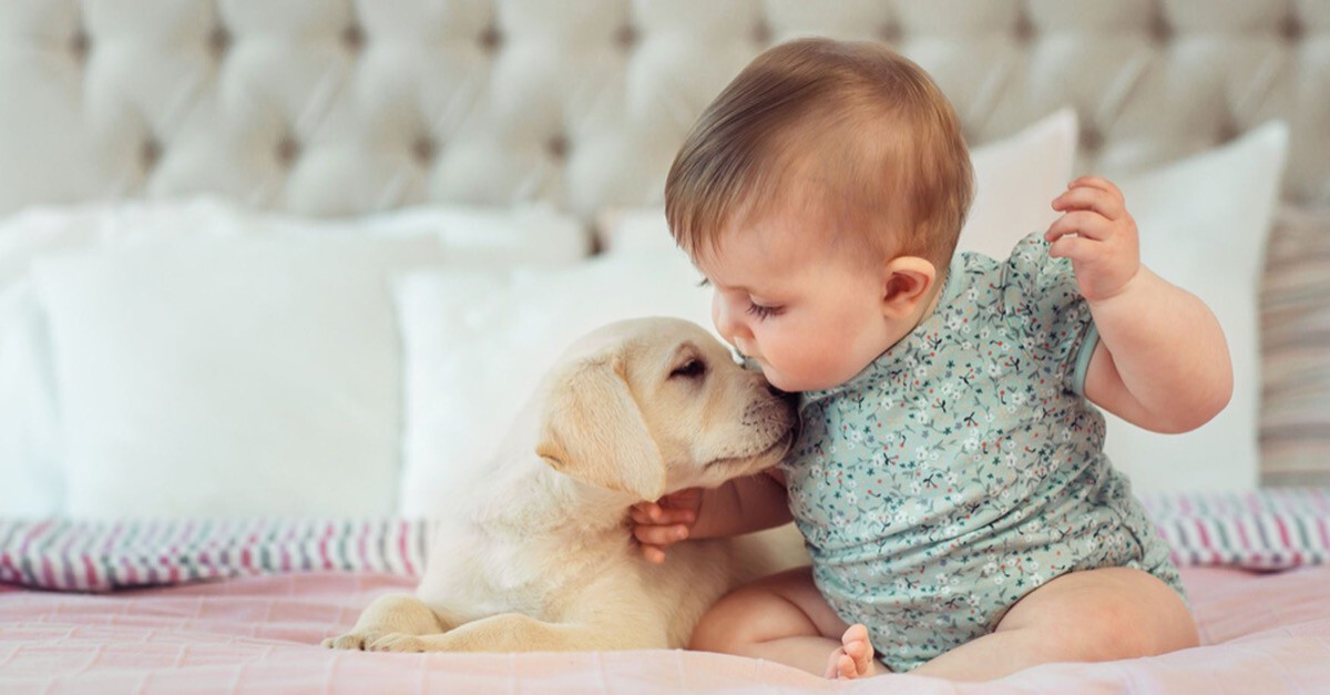 Baby und Hund