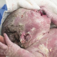 Käseschmiere – Babys Creme