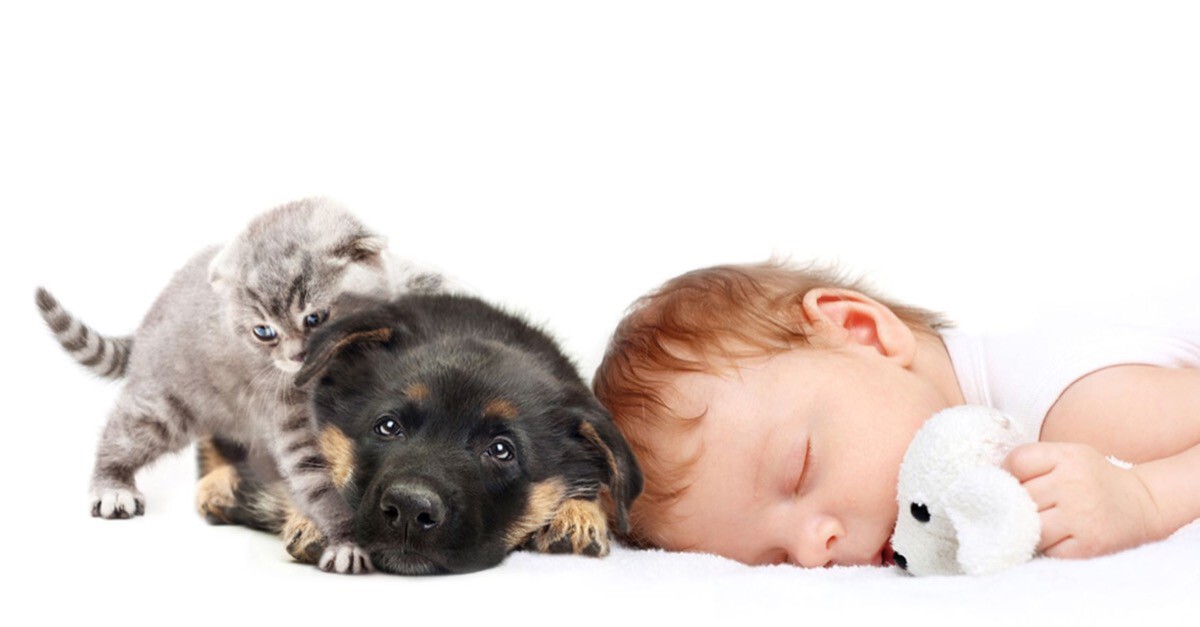 Kind Hund Katze Und Co Babyat