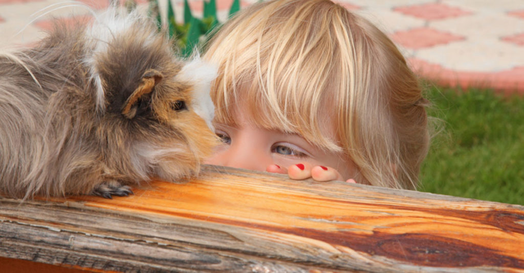 Kinder und Haustiere