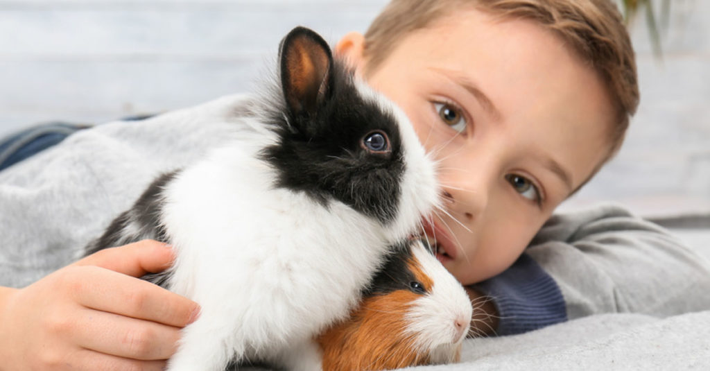 Kind, Hund, Katze und Co.