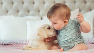 Baby und Hund – eine tierisch gute Freundschaft