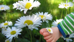 Fußgesundheit: „Wehe, wehe, wehe - wenn ich an das Ende sehe“